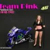 Team Pink Paddock Girl, American Diorama 77437 - 1/18 Scale Accessory For Diecast Cars