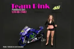 Team Pink Paddock Girl, American Diorama 77487 - 1/24 Scale Accessory For Diecast Cars